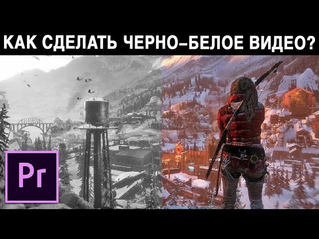 Как Сделать Видео Черно Белым в Premiere Pro? Самый Простой Способ!