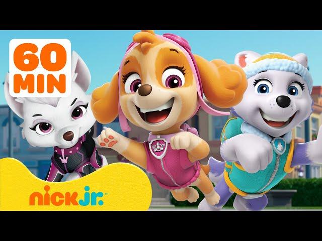 PAW Patrol Girl Power Rescue Hour! w/ Skye, Sweetie & Everest! | Nick Jr.