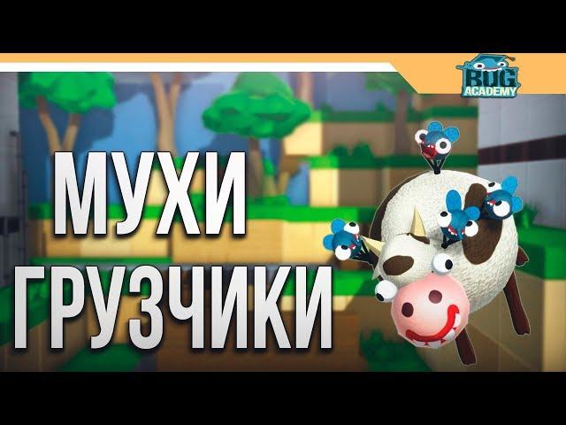 МУХИ ГРУЗЧИКИ ИГРА   Bug Academy Прохождение - Часть 1