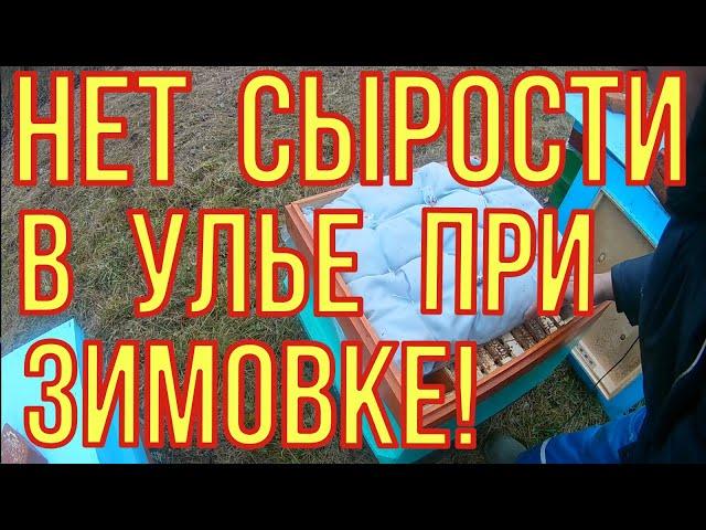 Зимовка пчёл на улице. Вентиляция ульев. Сетчатое или глухое дно.