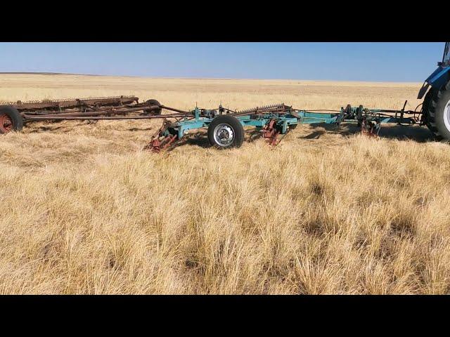 как собирают скошенное сено How hay is cut in the field