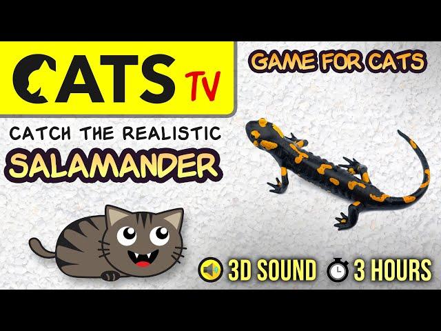 GAME FOR CATS - Realistic Salamander  3 HOURS [CATS TV]