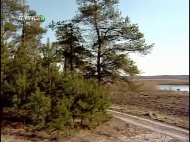 Все путем - Мы едем в Берёзу [4] (Белоозерск)