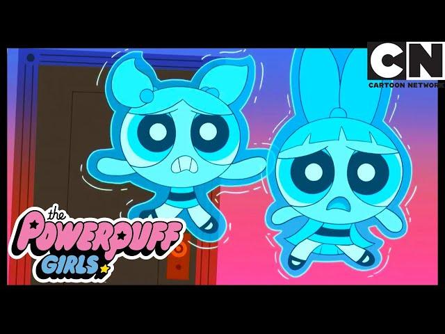 Зелёное Крыло | Суперкрошки | Cartoon Network