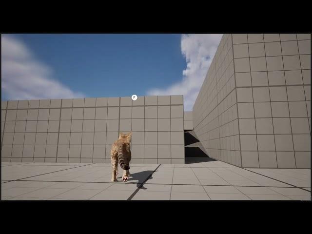 Unreal Engine 5 Root Motion Animal Cat Controller