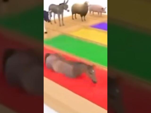 정체를 알 수 없는 영상