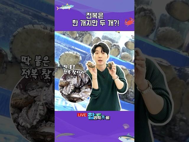 바다의 산삼 #전복 으로 에너지 충전 어떠세요~?