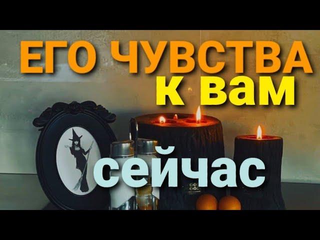 ЕГО ЧУВСТВА К ВАМ СЕЙЧАС? ТАРО