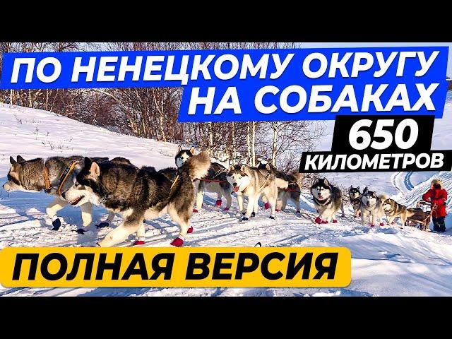 650 км на собаках по Ненецкому округу \ Нарьян-Мар \ Индига \ Полная версия