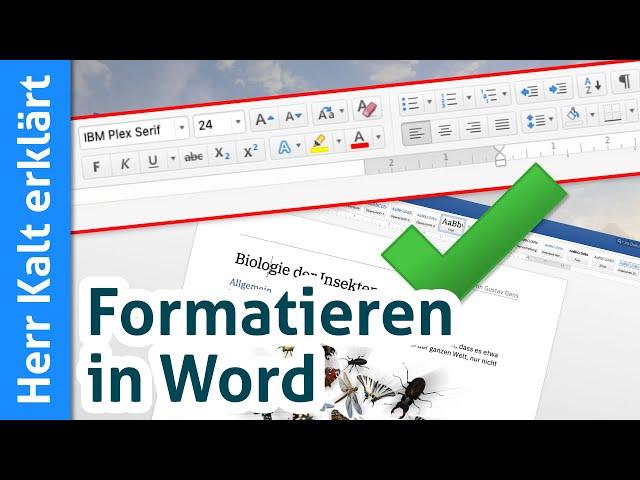 Texte in Word Formatieren – Einfacher Einstieg in die Textverarbeitung