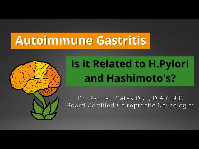 Autoimmune Gastritis: Is it related to H. pylori and Hashimoto's?