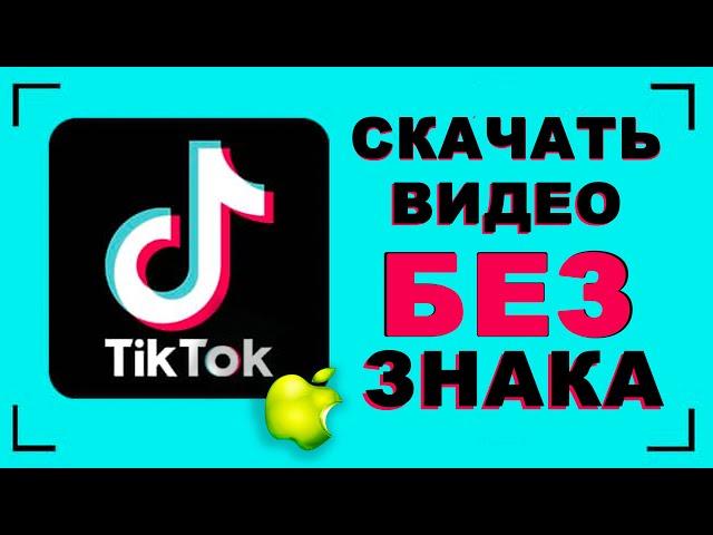 Как скачать видео с тик тока без водяного знака