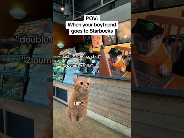 CAT MEMES When your boyfriend goes to Starbucks #catmemes #relatable #relationship