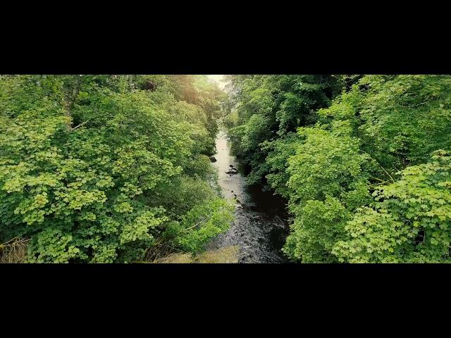 River - Ultrawide 1440p 21:9 Video - 4 Hours - Nature