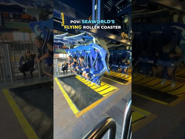 POV: Seaworld’s FLYING Roller Coaster