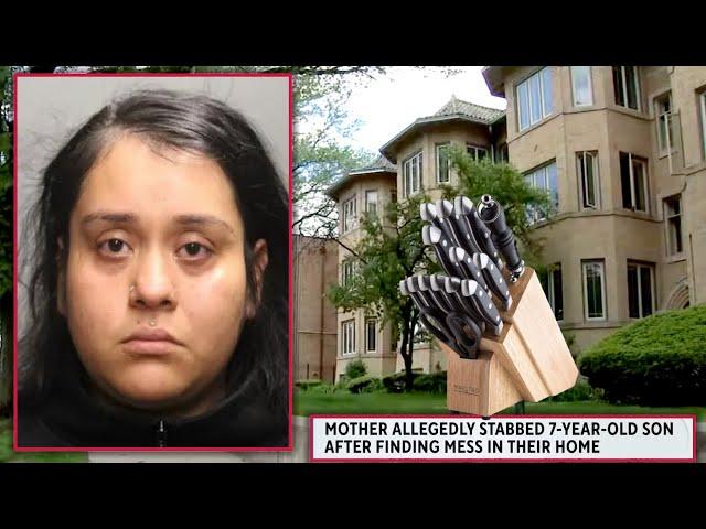 Illinois Mom Stabbed Son For Messing Up Her Home After She Cleaned It