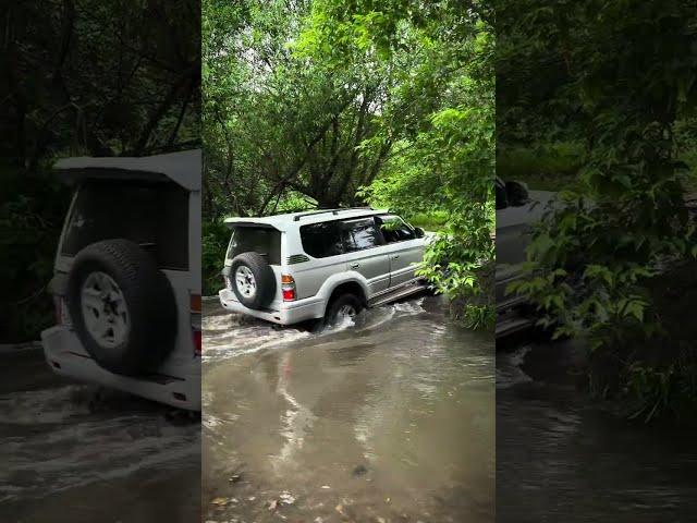 MAXXIS Razr AT-811   Toyota Land Cruiser Prado 95 ВКО Шемонаиха