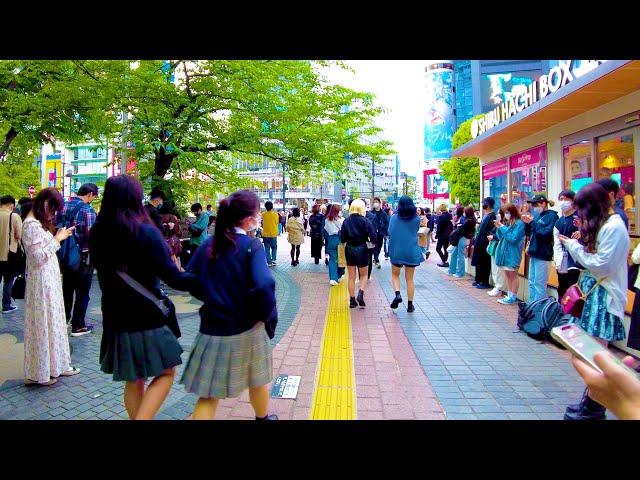 Shibuya in Tokyo is a very lively city   4K ASMR Non-stop 1 hour 05 minutes