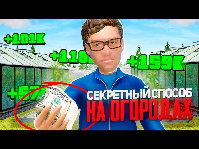 СЕКРЕТНАЯ КОМБИНАЦИЯ ОВОЩЕЙ для ОГОРОДОВ на РАДМИР РП КРМП в GTA! ЛУЧШИЙ АФК ЗАРАБОТОК на RADMIR RP!