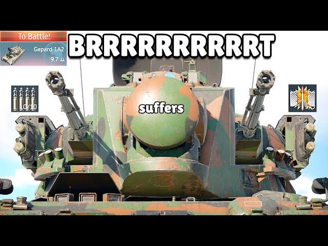 Gepard.mp4