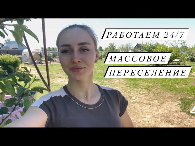 В 23 года, что же забыла в деревне?!Мои будни и мне это нравится!