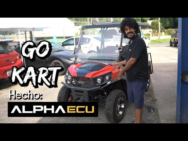 Carrito de GOLF programable! Con una AlphaECU todo se puede!