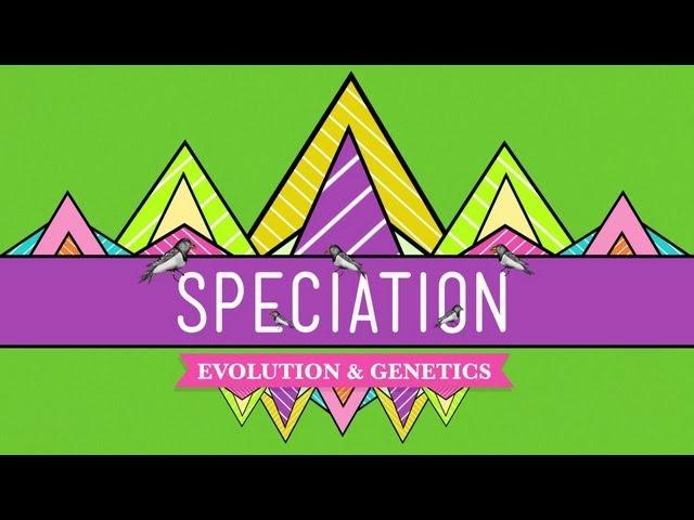 Speciation: Of Ligers & Men - Crash Course Biology #15