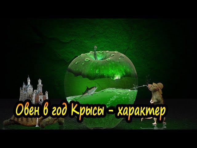 Овен в год Крысы - Характер