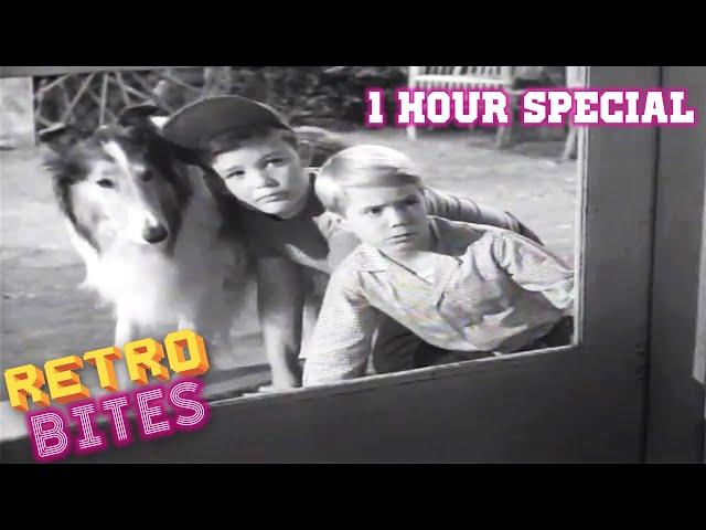 Lassie | 1 Hour Special | Lassie English Full Episodes  