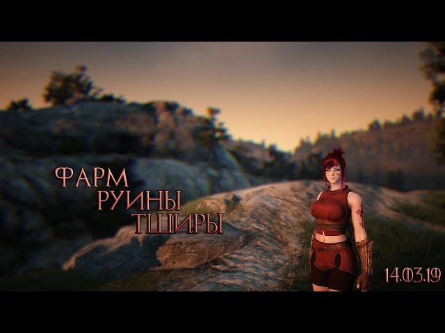 Black Desert ► Фарм нового спота Руины Тширы 14.03.19