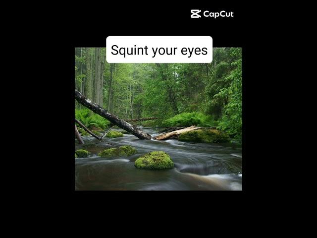 Squint your eyes #nature #squintyoureyes #trick