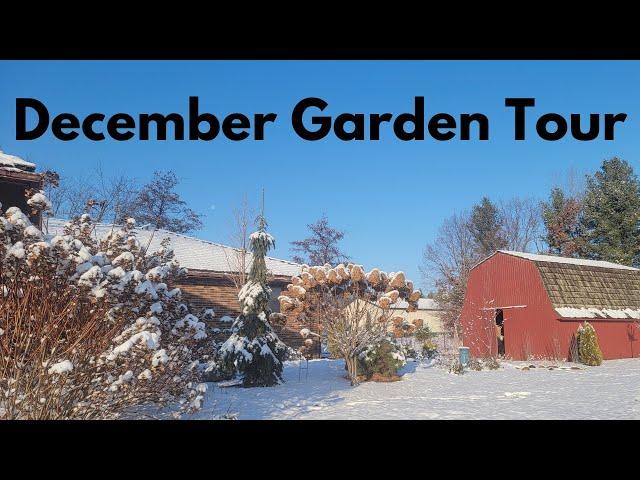 December Garden Tour