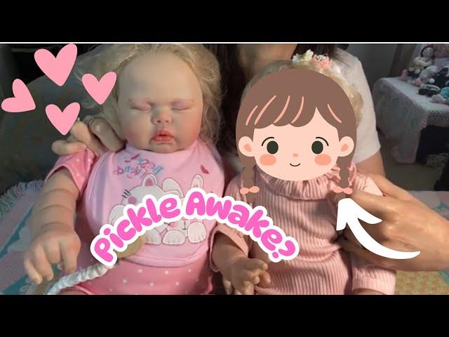 Box Opening Pickle Awake? Reborn Doll Ellie - AliExpress