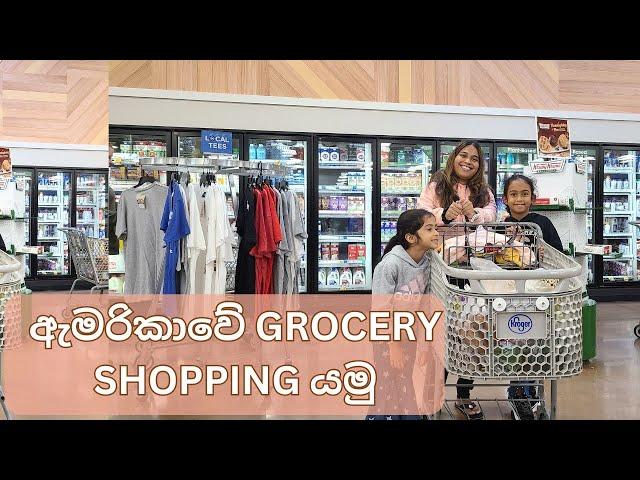 Weekly Grocery Shopping in the USA | Sri Lankan Family Edition | ඇමරිකාවේ GROCERY SHOPPING යමු