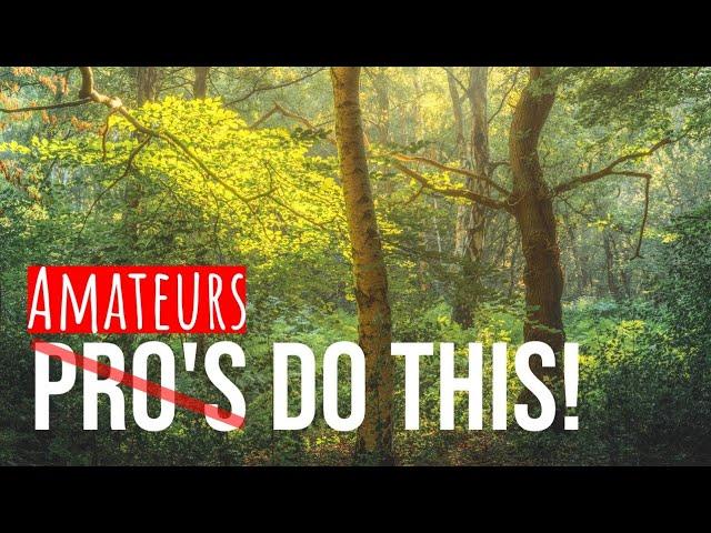 Amateurs Do This! - Woodland Photography