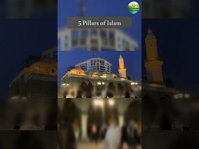 5 Pillars Of Islam #quran #sunnah #hadith #hadees #islam #shorts #youtubeshorts #trending #short