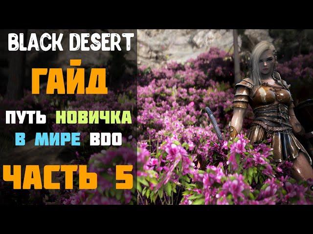 Гайд -  Фея/Книга Ченга! Путь новичка в Мире BDO в 2020 году! Часть №5! [Black Desert]