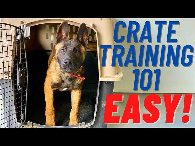 EASIEST CRATE TRAINING VIDEO EVER!!  FIRST STEPS!!  MUST SEE - Part 1 // ANDY KRUEGER