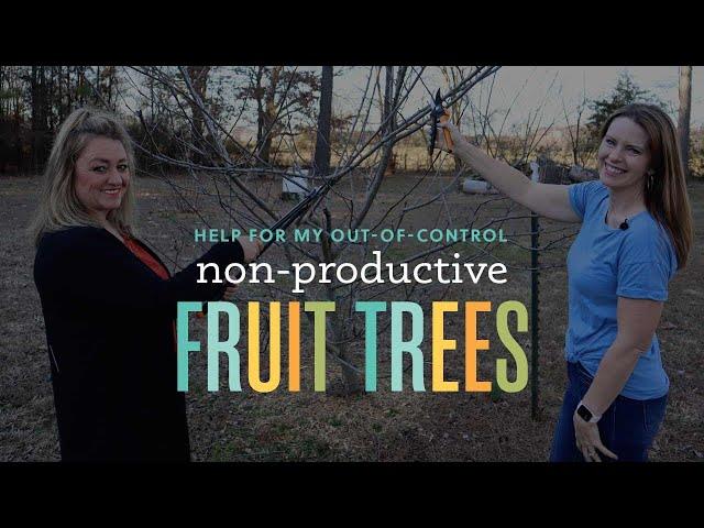 A Local Expert Shows How to Prune Apple and Peach Trees for Less Disease and More Fruit