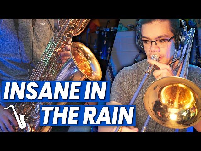 insaneintherainmusic - Insane In The Rain (Insane In The Rain)