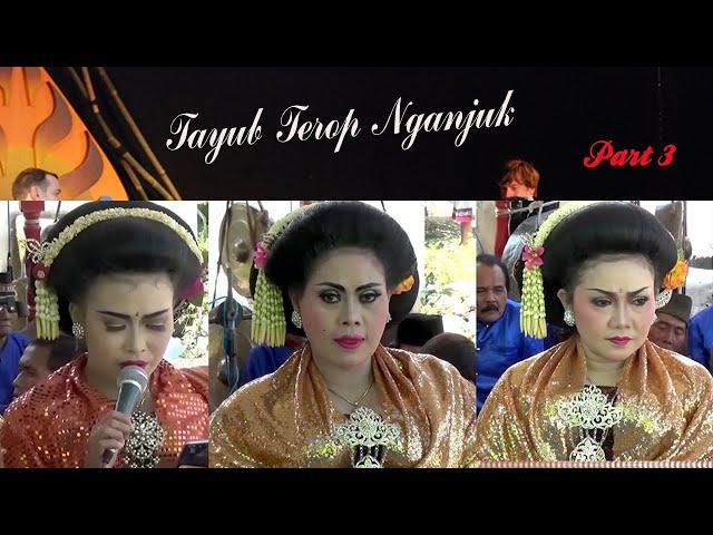 TAYUB NGANJUK - GENDING JAWA MATON - WARANGGONO DARSIH - NYAMIATI - DWI | SETYO BUDOYO PART 3