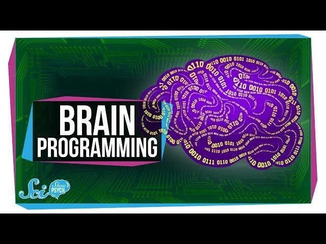 Did We Just Figure Out How to Program a Brain?