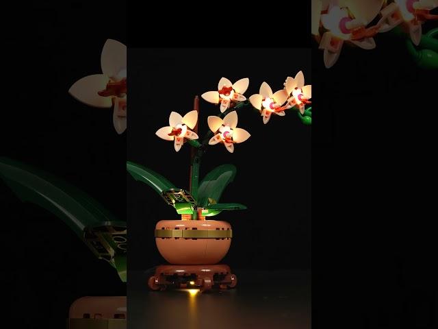 Lightailing Light Kit For LEGO Mini Orchid 10343