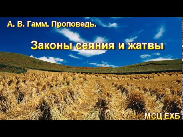 "Законы сеяния и жатвы". А. В. Гамм. МСЦ ЕХБ.