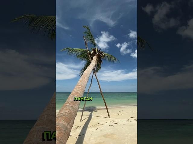 Панган - маленький Бали в Тайланде? #панган #тайланд #бали