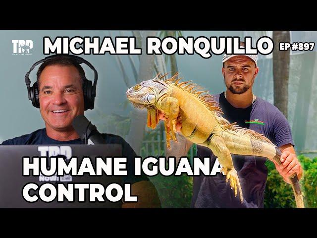 Why Iguanas Are TAKING OVER South Florida - Michael Ronquillo