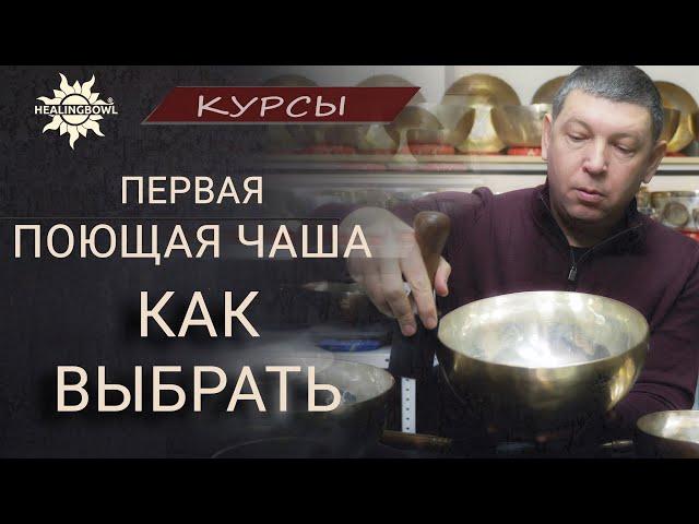 Как выбрать первую поющую чашу  Все советы новичку