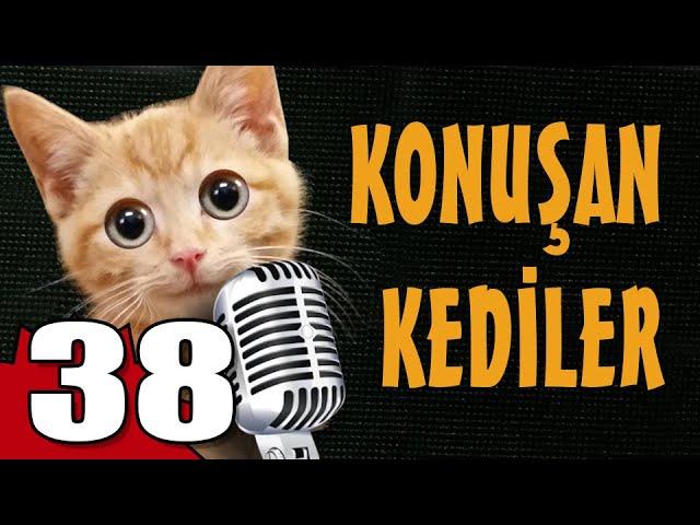 Konuşan Kediler 38 - En Komik Kedi Videoları