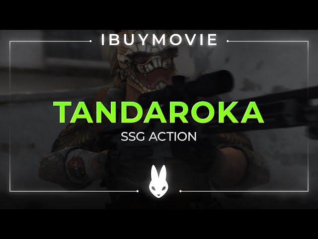 TANDAROKA •PAID•