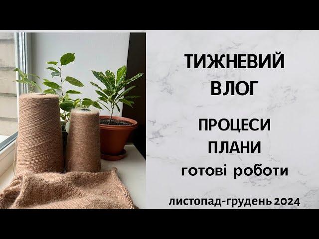 Тижневий влог. Процеси, плани, готові роботи. Листопад-Грудень 2024